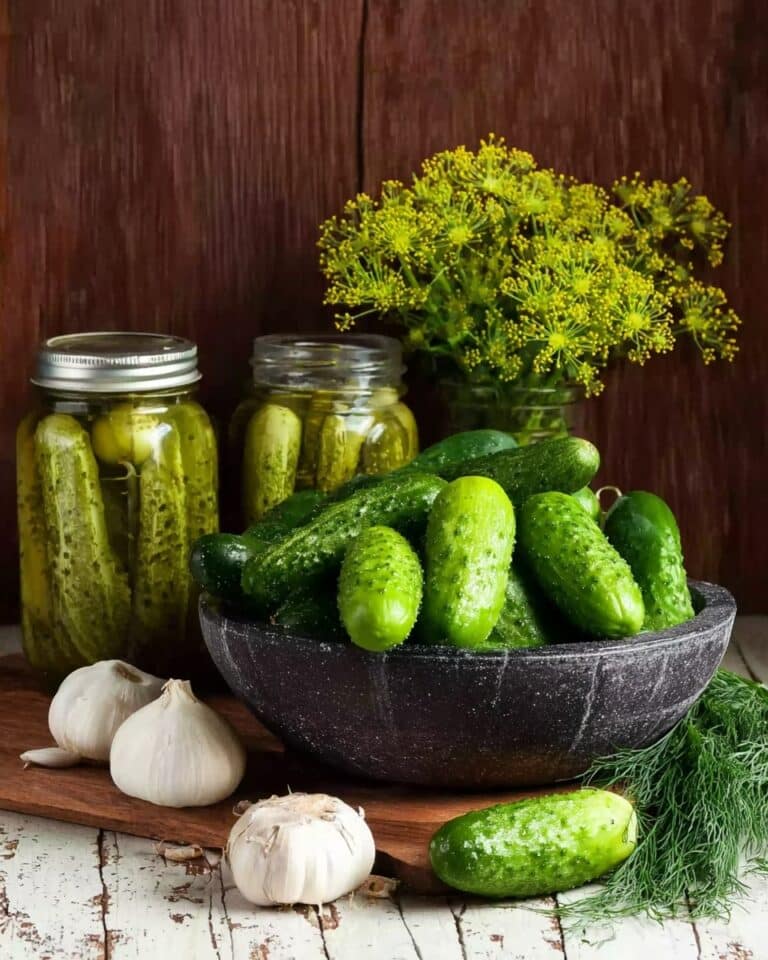 Crunchy Quick Dill Pickles Recipe